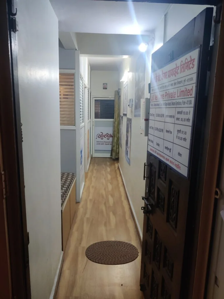 LK Vet Care Pune: Modern hallway leading to a veterinary clinic examination room.