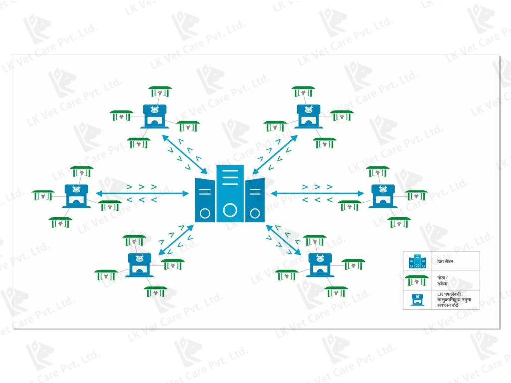 LK Vet Care Pvt. Ltd., network diagram, data system, centralized