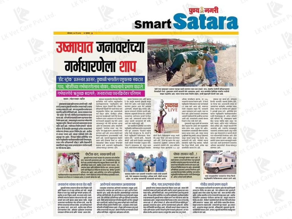 NEW OF SMART SATARA NEWSPAPER