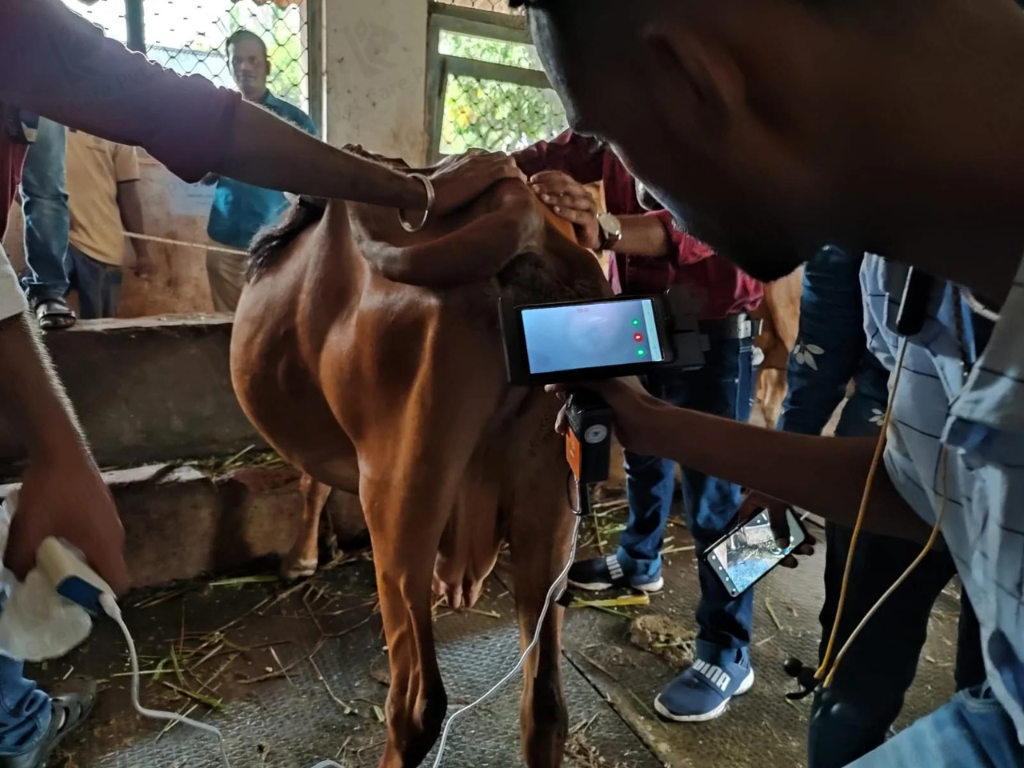 Advanced Digital AI Gun for Cattle Breeding | LK Vet Care Pvt. Ltd.