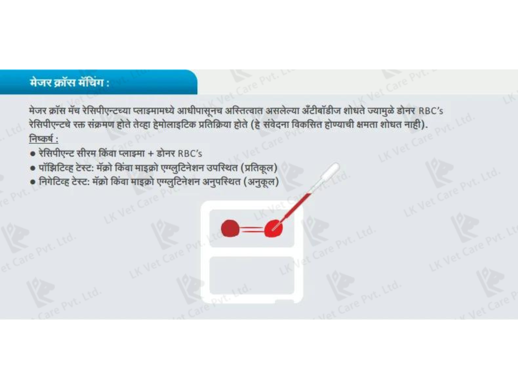 lk vet care information image- major cross matching